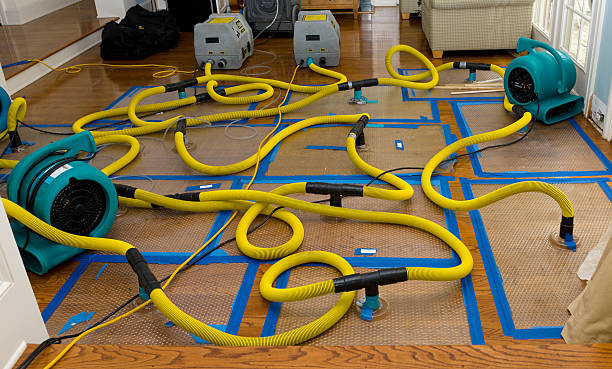 Professional Flood Damage Restoration technician working in Rockfield, KY